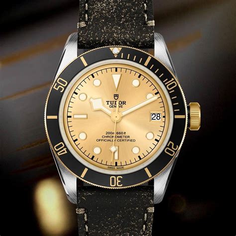 steel and gold tudor|tudor heritage black bay.